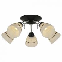 Потолочная люстра TopLight Winnifred TL1255D-05BC
