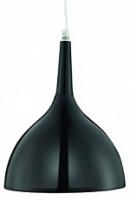 Подвесной светильник Arte Lamp Pendants 2 A9077SP-1BK