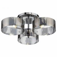 Накладной светильник ST-Luce Foresta SL483.702.03