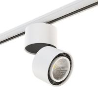Светильник на штанге Lightstar Forte Muro A3T214816