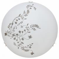 Накладной светильник Arte Lamp Symphony A3820PL-2CC