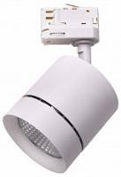 Светильник на штанге Lightstar Canno 301564