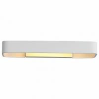 Накладной светильник ST-Luce Listelli SL454.501.01