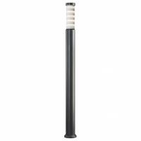 Наземный низкий светильник SLV Pole Parc 1000762