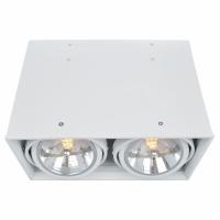 Накладной светильник Arte Lamp Cardani A5936PL-2WH