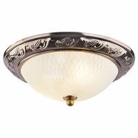 Накладной светильник Arte Lamp Alta A3019PL-2AB