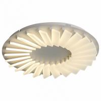 Накладной светильник ST-Luce Tifoso SL837.502.24