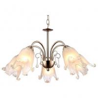 Подвесная люстра Arte Lamp Sussurro A7957LM-5SS