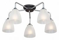 Потолочная люстра Vitaluce V4500 V4500-9/5PL