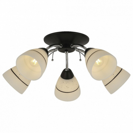 Потолочная люстра TopLight Winnifred TL1255D-05BC