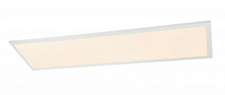 Накладной светильник Globo Rosi 41604D5F