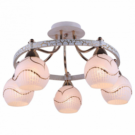 Потолочная люстра Arte Lamp Daniella A6173PL-5WG