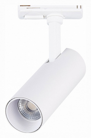 Светильник на штанге ST-Luce Mono ST350.546.10.36