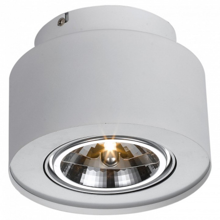 Накладной светильник Arte Lamp Cliff A5643PL-1WH