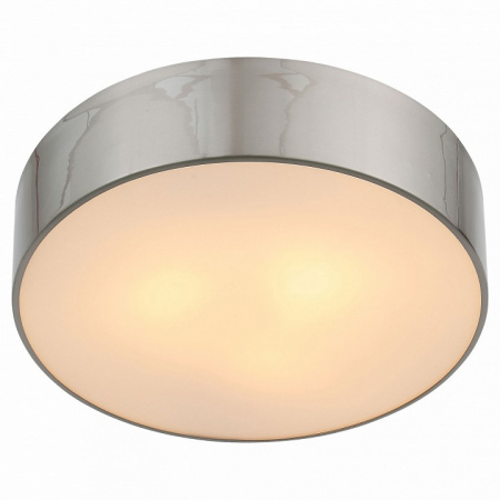 Накладной светильник ST-Luce Bagno SL468.502.03