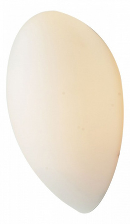 Накладной светильник ST-Luce Bango SL507.551.01