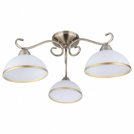 Потолочная люстра Arte Lamp  A1221PL-3AB