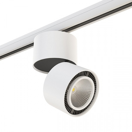 Светильник на штанге Lightstar Forte Muro A3T214816