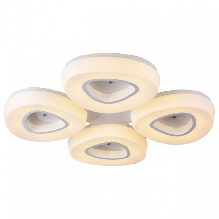 Накладной светильник ST-Luce Regen SL878.502.04-T5