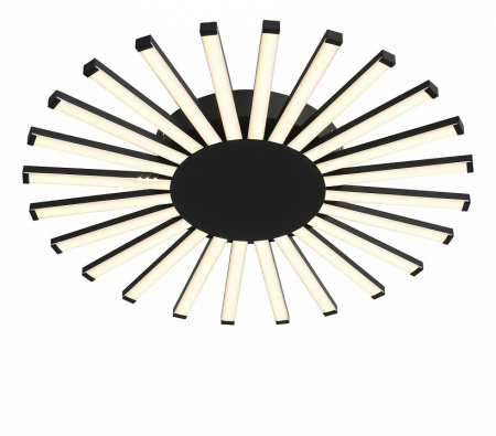 Накладной светильник ST-Luce Paralleli SL839.412.24